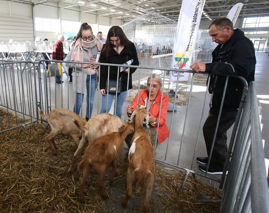Inovacijų paroda „Inno panorama 2019“