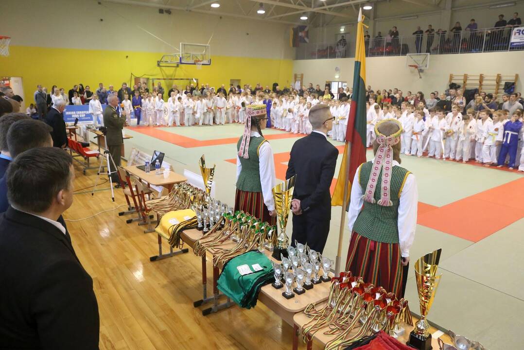Kulminacija: gruodžio pradžioje Raudondvario dvare su ledo ir ugnies šou įžiebta Kalėdų eglutė, pradėjo veikti čiuožykla, cukrainė.