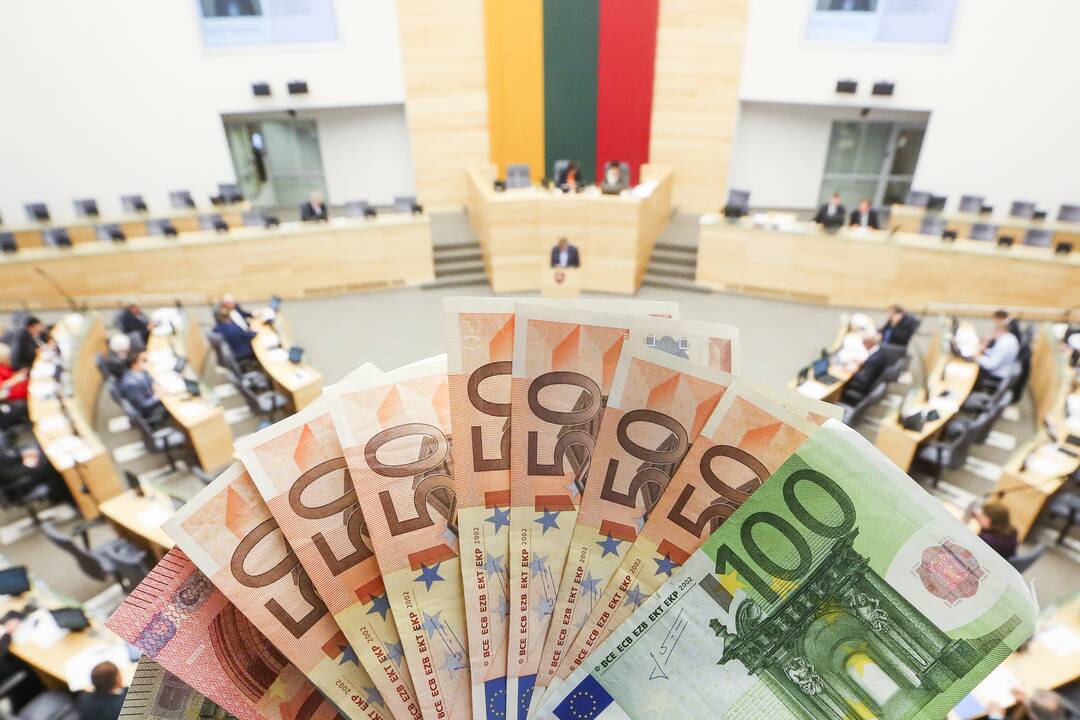 Prezidento patarėja: šeimų su vaikais NPD galėtų būti lygus MMA jau kitais metais