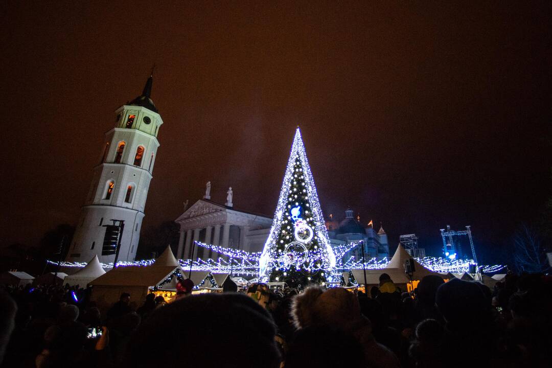 Sostinės Katedros aikštėje suspindo Kalėdų eglė