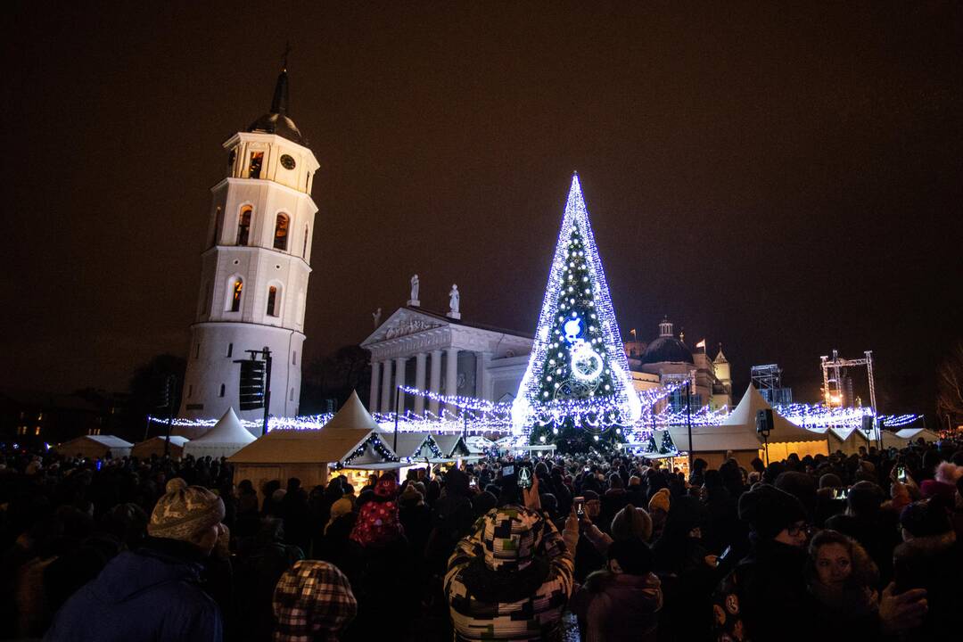 Sostinės Katedros aikštėje suspindo Kalėdų eglė