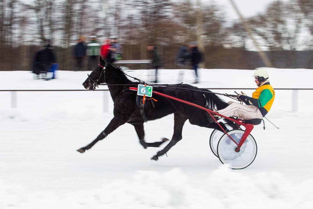 Tradicinės žirgų lenktynės „Sartai 2019“