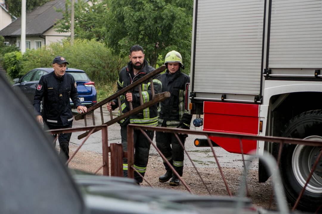Bevaisė į konteinerį išmesto šunelio gelbėjimo operacija