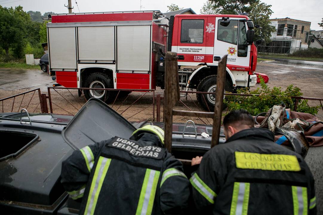 Bevaisė į konteinerį išmesto šunelio gelbėjimo operacija