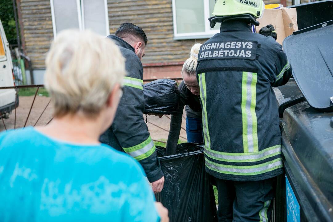 Bevaisė į konteinerį išmesto šunelio gelbėjimo operacija