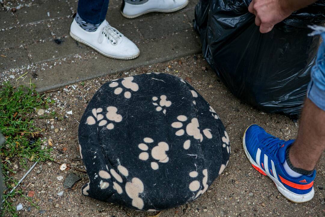 Bevaisė į konteinerį išmesto šunelio gelbėjimo operacija