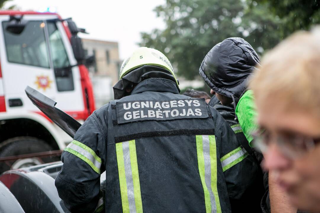 Bevaisė į konteinerį išmesto šunelio gelbėjimo operacija
