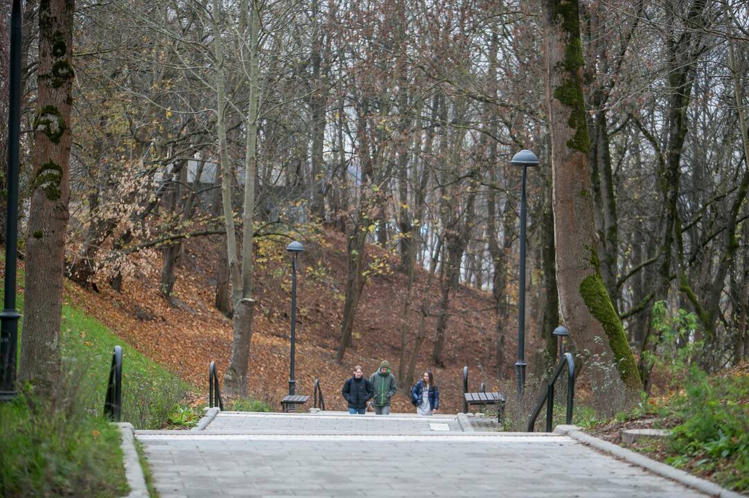 Atgimė legendiniai Kauko laiptai