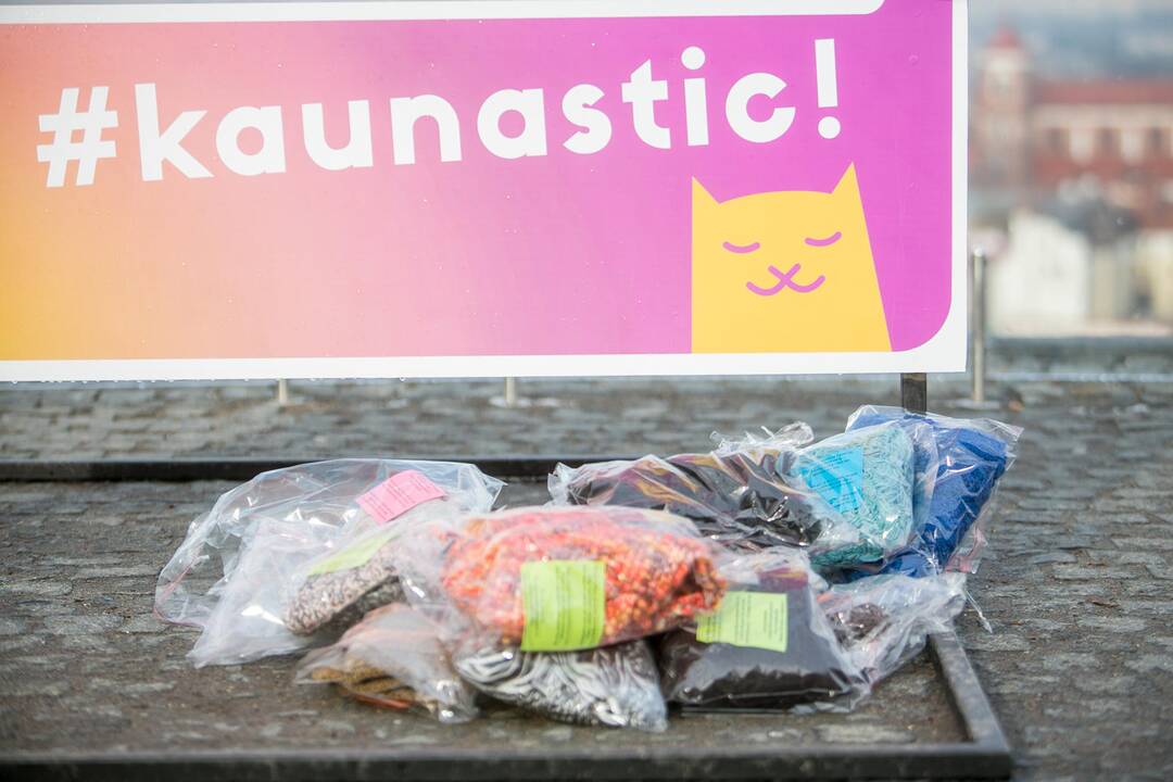 Romantiškai nusiteikę kauniečiai Aleksoto apžvalgos aikštelėje