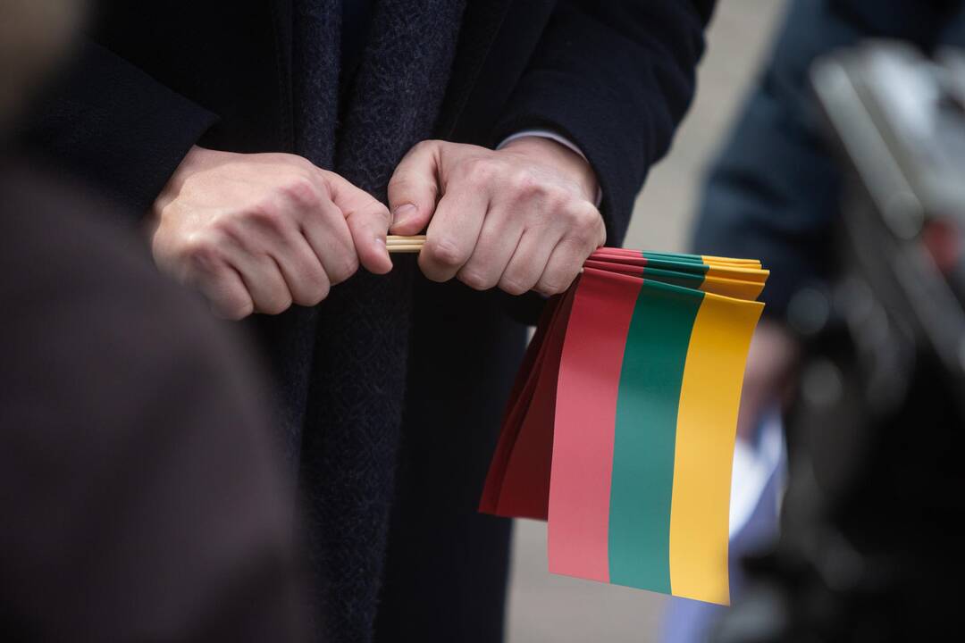 Trijų Baltijos valstybių vėliavų pakėlimo ceremonija S. Daukanto aikštėje