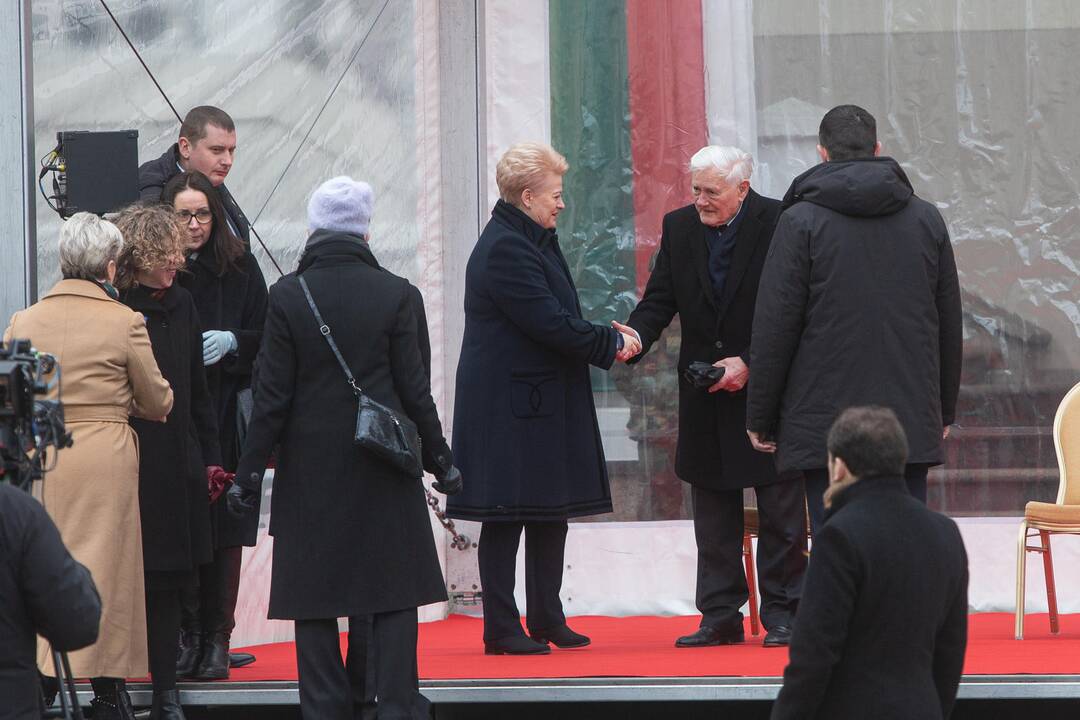 Trijų Baltijos valstybių vėliavų pakėlimo ceremonija S. Daukanto aikštėje