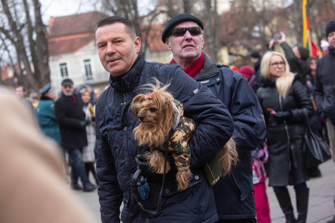 Trijų Baltijos valstybių vėliavų pakėlimo ceremonija S. Daukanto aikštėje