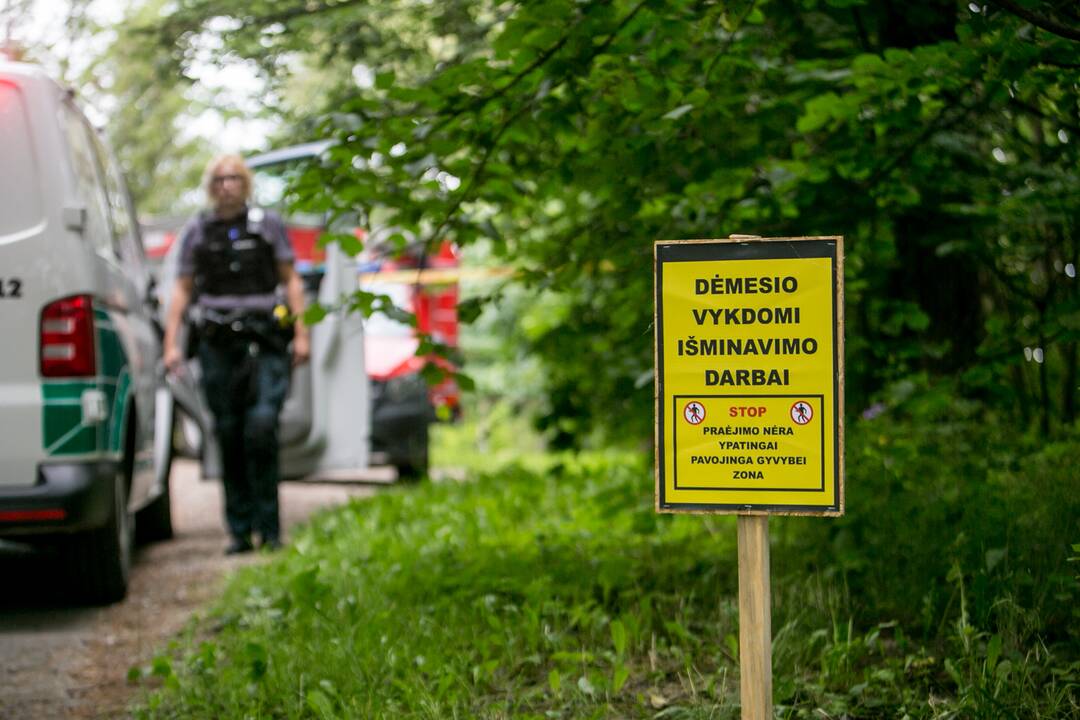 Aleksote aptikta mažiausiai pusšimtis aviacinių bombų