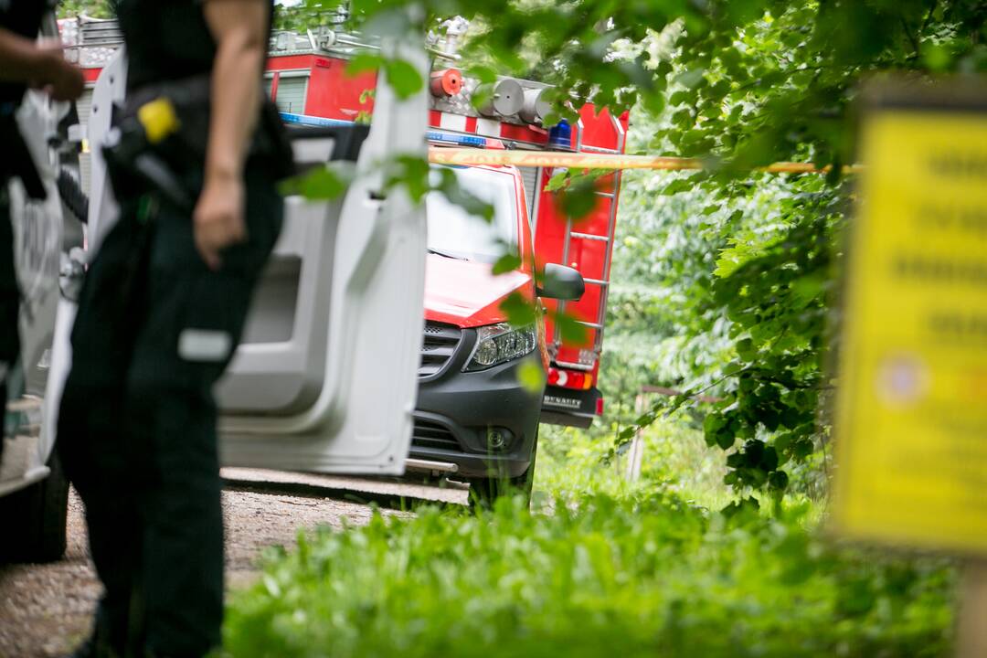 Aleksote aptikta mažiausiai pusšimtis aviacinių bombų