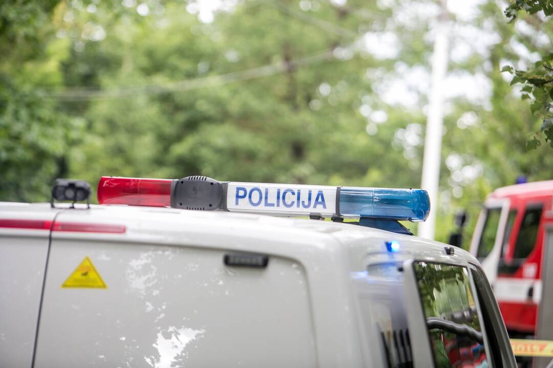 Aleksote aptikta mažiausiai pusšimtis aviacinių bombų
