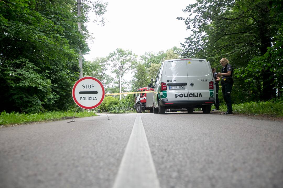 Aleksote aptikta mažiausiai pusšimtis aviacinių bombų