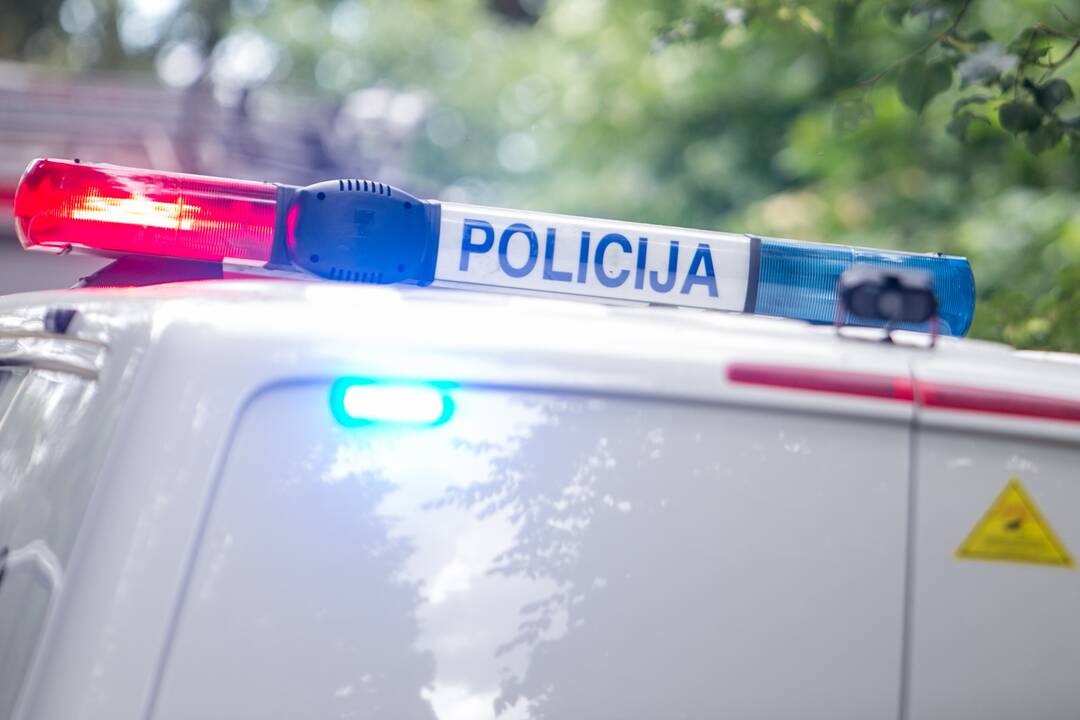 Aleksote aptikta mažiausiai pusšimtis aviacinių bombų