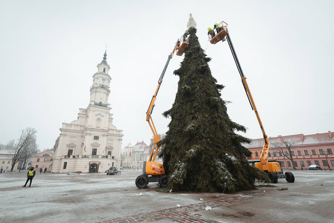 Išmontuojama „morenginė“ Kauno Kalėdų eglė