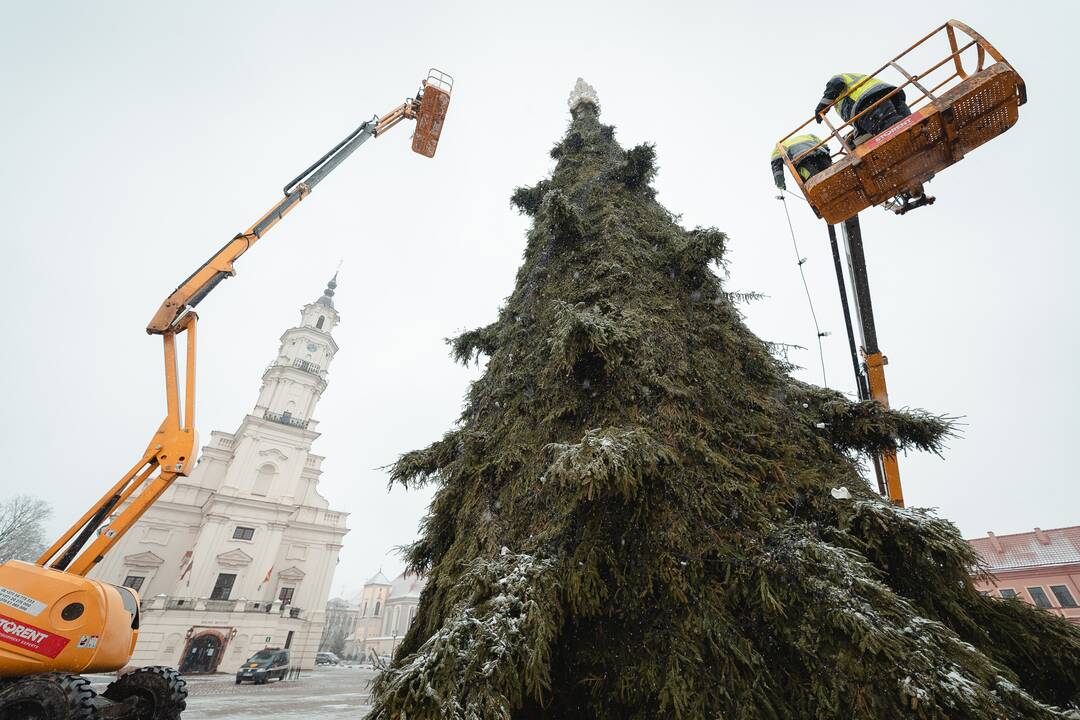 Išmontuojama „morenginė“ Kauno Kalėdų eglė