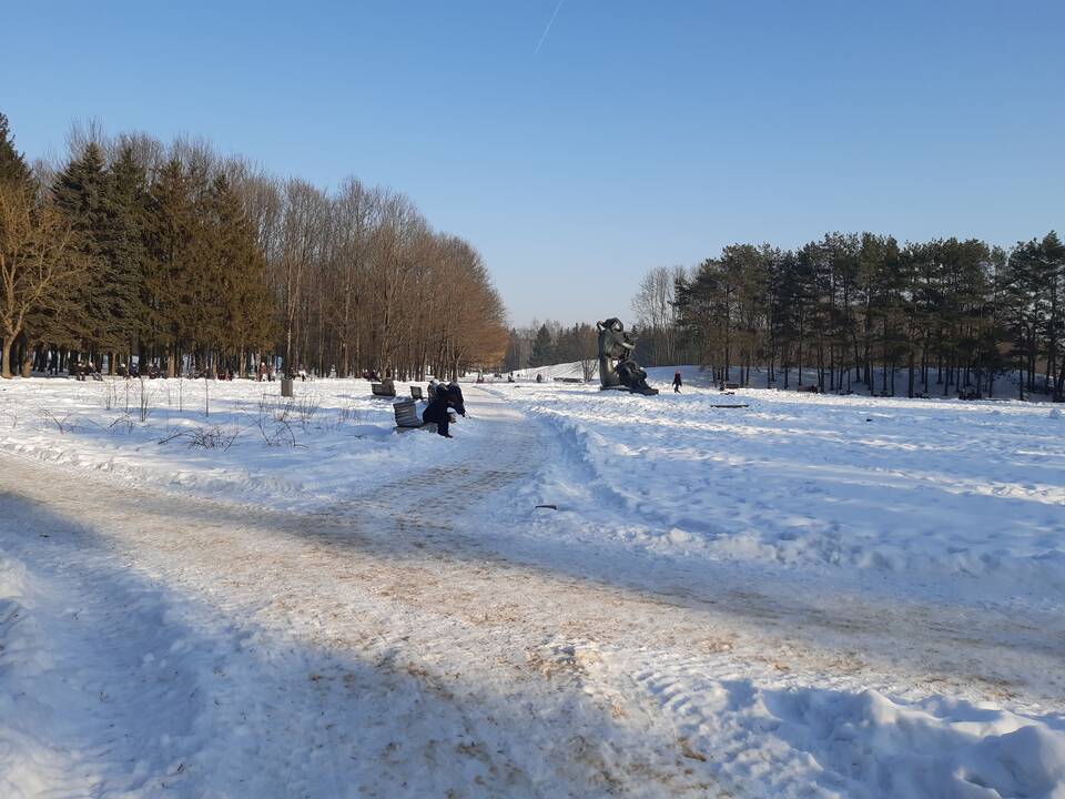 Saulėtos dienos išginė kauniečius į parkus