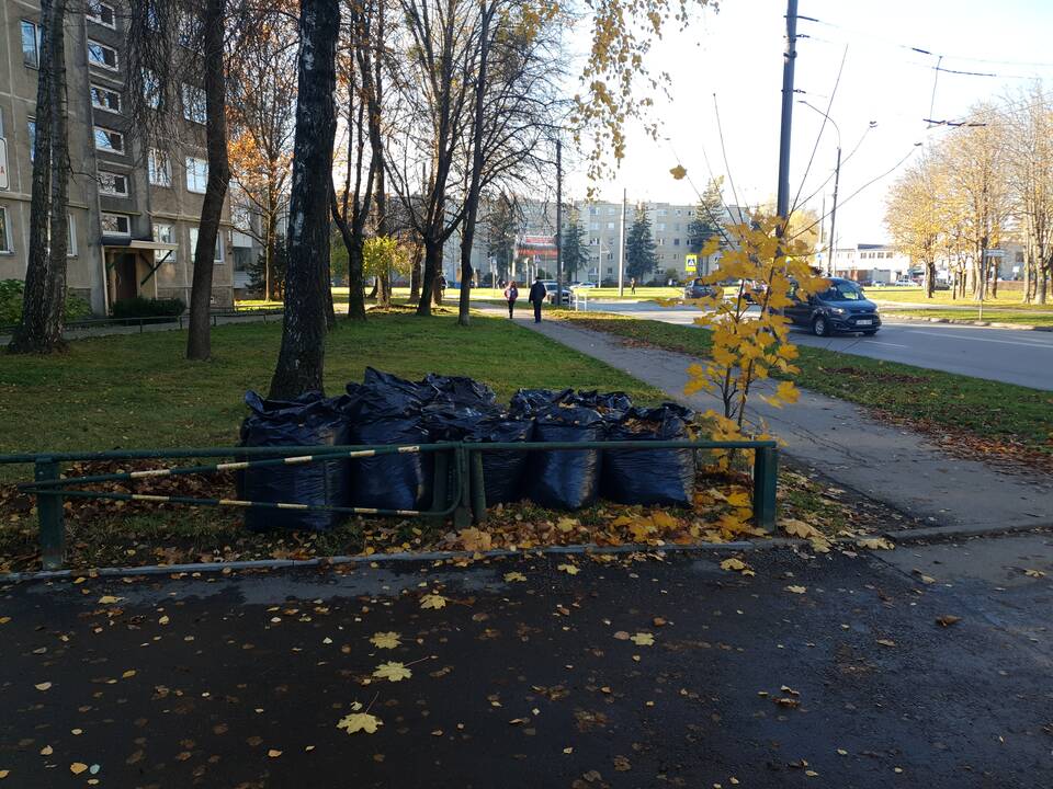 Kauniečiai ne vietoje palieka šiukšles ir juodų maišų kalnus