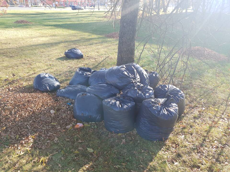Kauniečiai ne vietoje palieka šiukšles ir juodų maišų kalnus