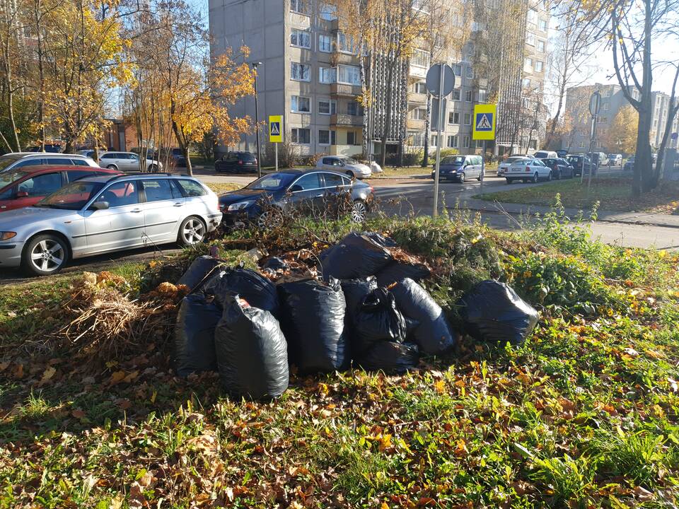 Kauniečiai ne vietoje palieka šiukšles ir juodų maišų kalnus