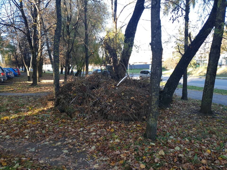 Kauniečiai ne vietoje palieka šiukšles ir juodų maišų kalnus