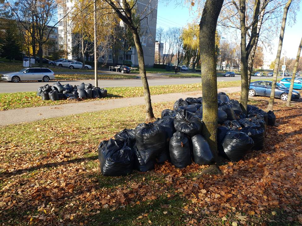 Kauniečiai ne vietoje palieka šiukšles ir juodų maišų kalnus