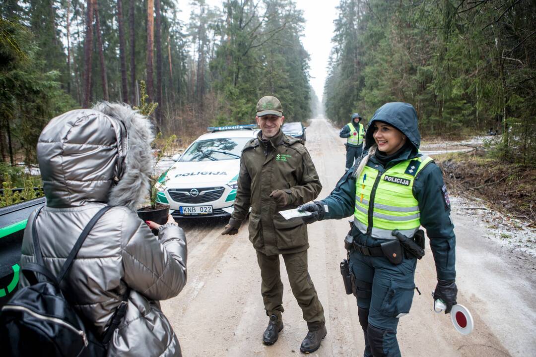 Miško lankytojams – miškininkų ir pareigūnų dovanos