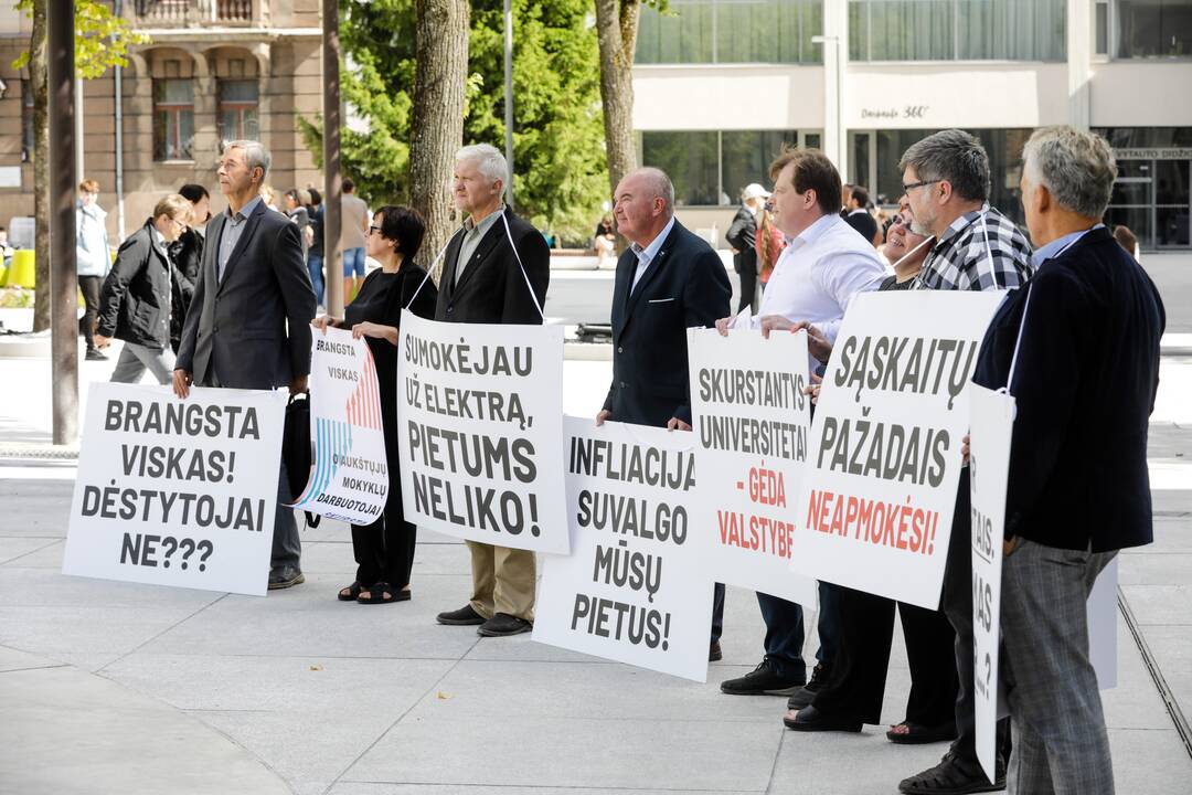 Lietuvos aukštųjų mokyklų profesinių sąjungų susivienijimo piketas