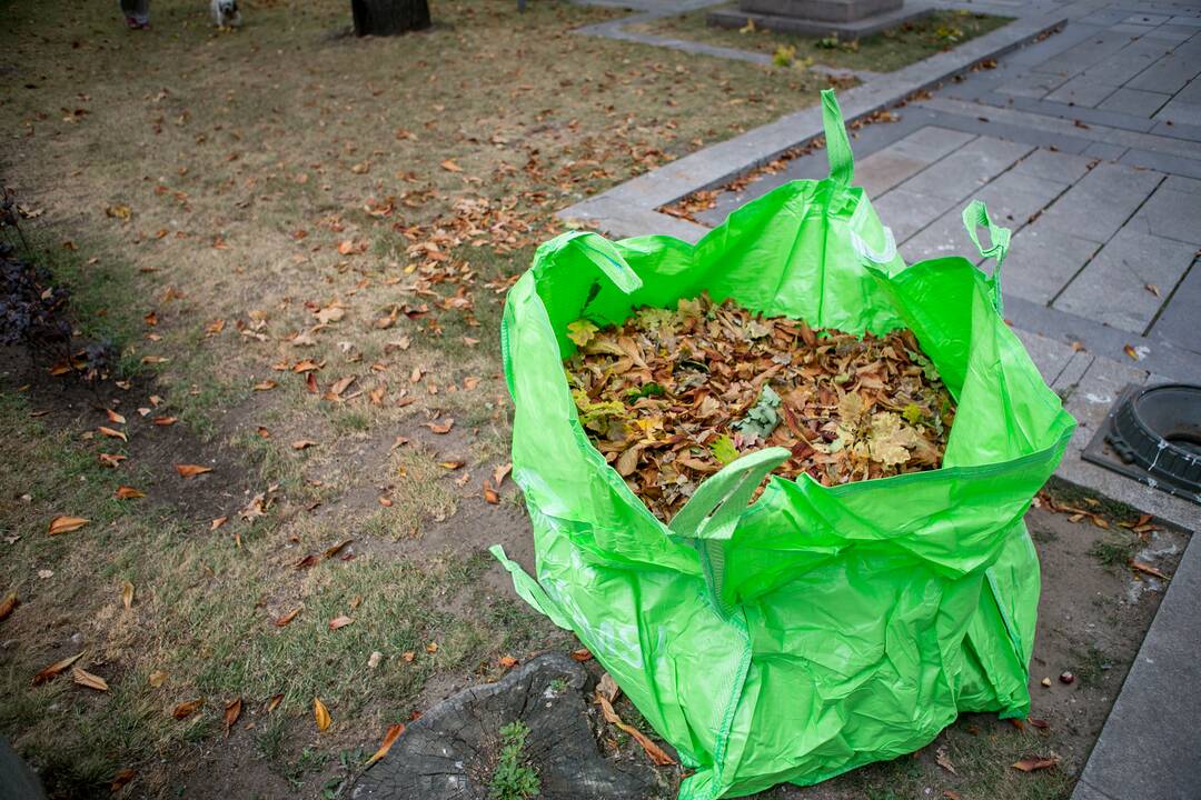 Patinka: didmaišiai – vizualiai gražūs, talpūs, patvarūs ir patogūs sudėti bei transportuoti.