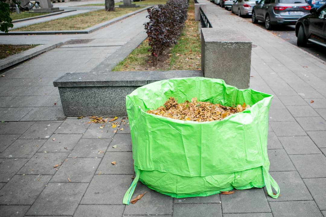 Patinka: didmaišiai – vizualiai gražūs, talpūs, patvarūs ir patogūs sudėti bei transportuoti.