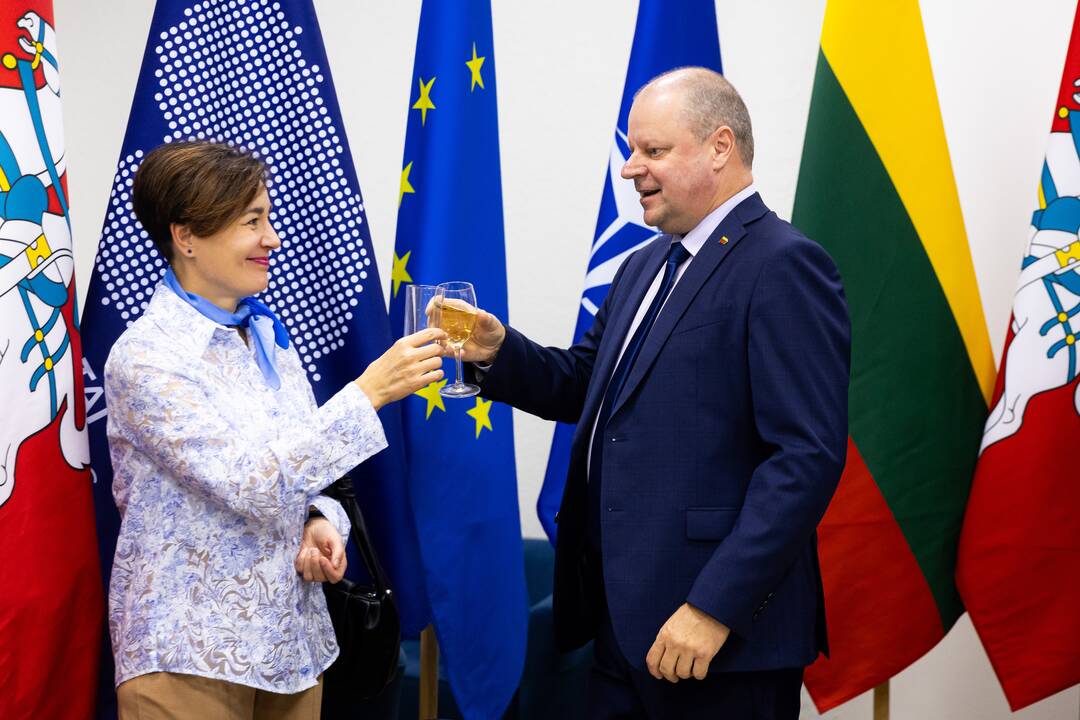 Seimo rinkimų antrasis turas: „Vardan Lietuvos“ štabas