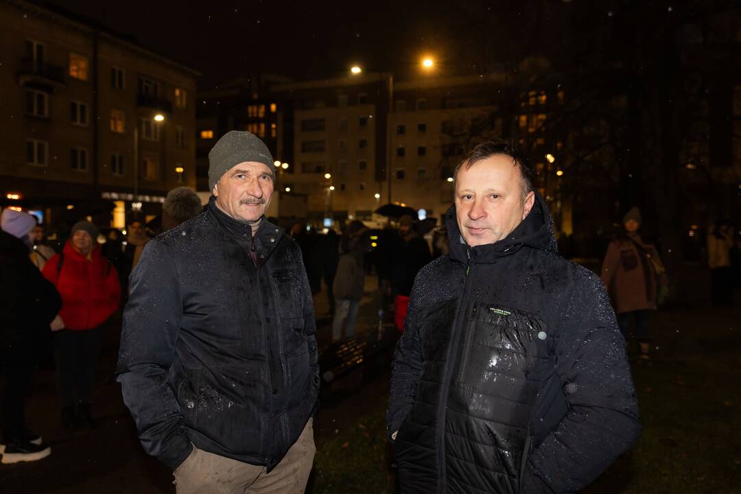 Protestas prie Seimo: „Dešimt tylos minučių“