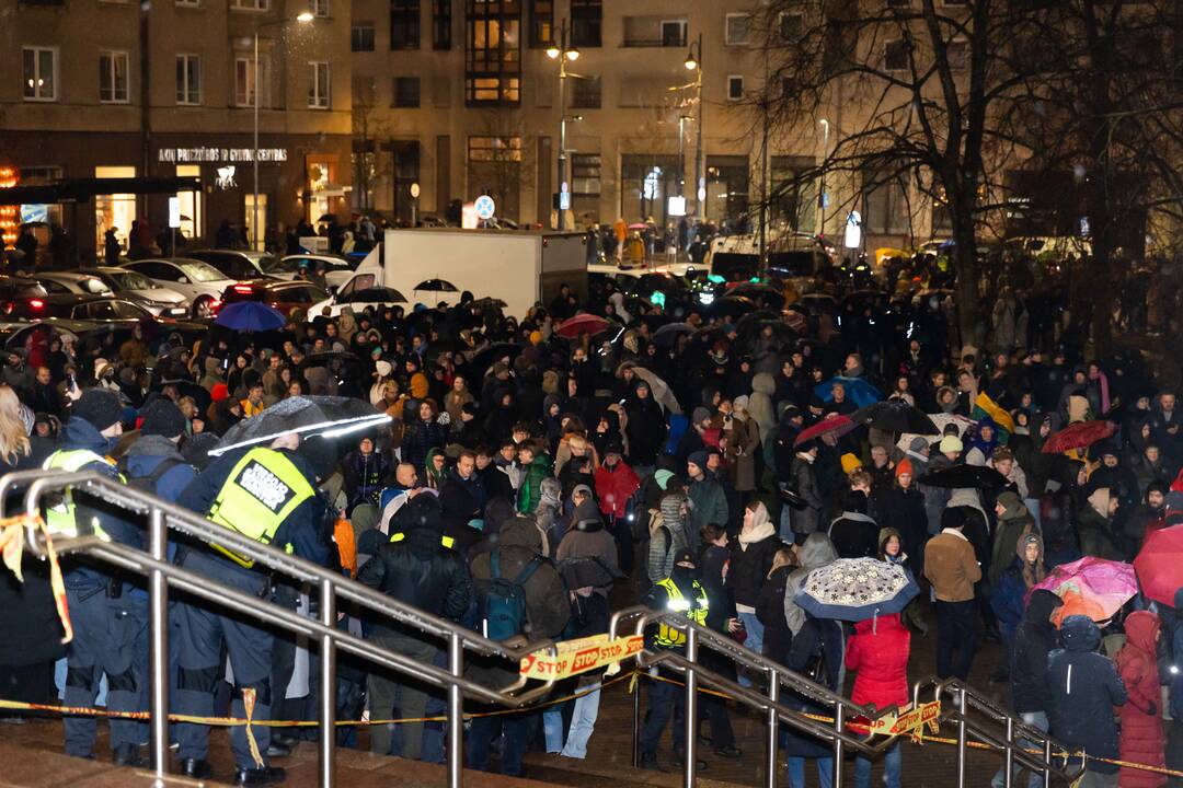 Protestas prie Seimo: „Dešimt tylos minučių“
