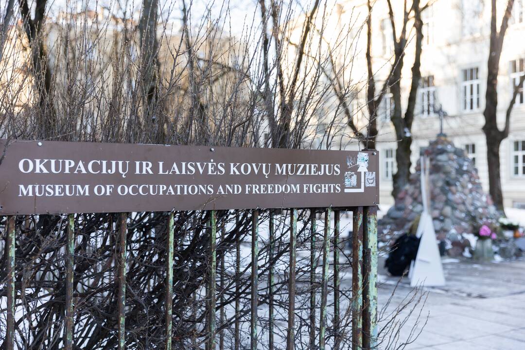 Vilniuje – akcija „Putiną – į kalėjimą“