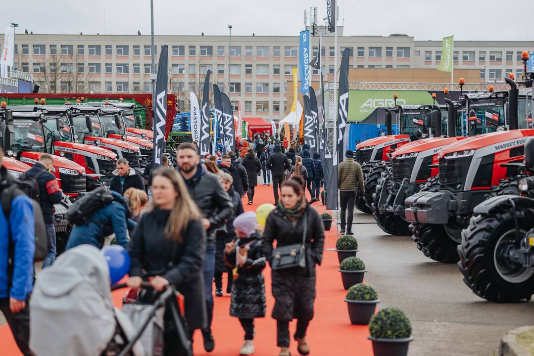 Faktas: parodos aktualumas, dalyvių ir lankytojų susidomėjimas kasmet auga.