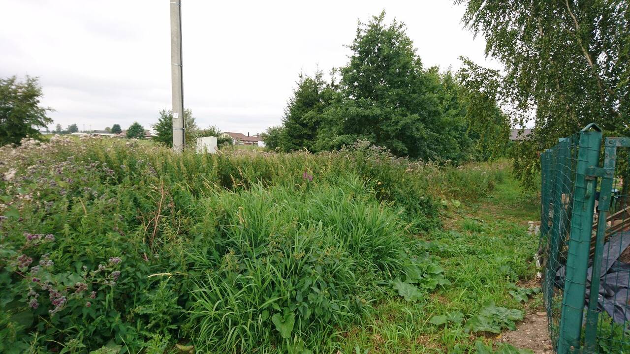 Tendencija: nors apleistų žemės plotų pakaunėje beveik nėra, kartais galima pamatyti ir tokį vaizdą.