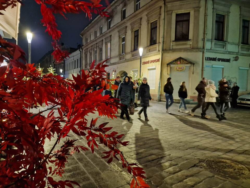 Į Kauno kalėdinės eglės įžiebimą susirinko tūkstantinė minia