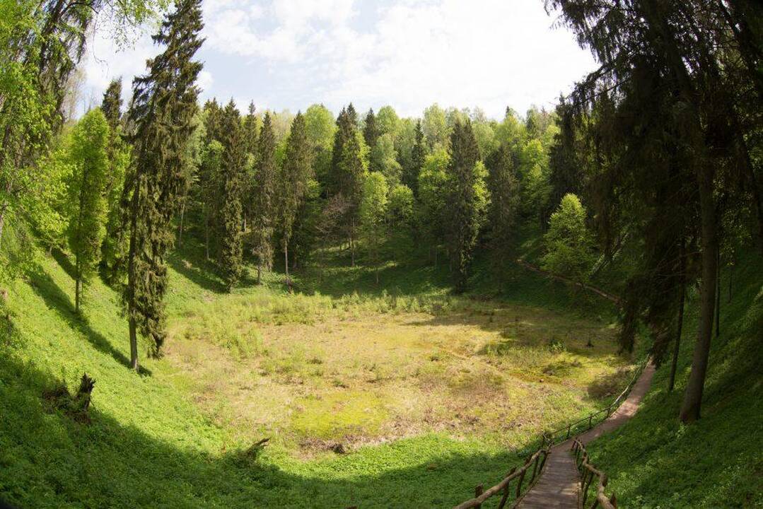 Beveik tūkstantis piliečių už mieste turėtą žemę pasirinko miško plotus 