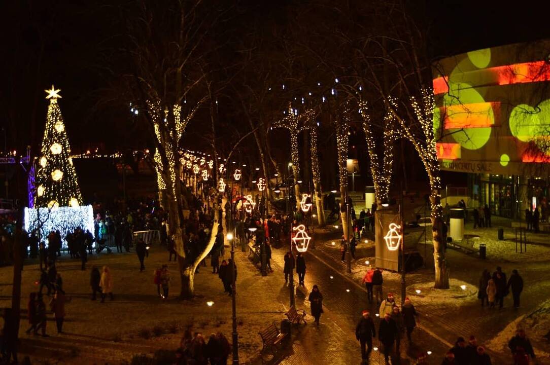 Palangoje įžiebta Kalėdų eglė