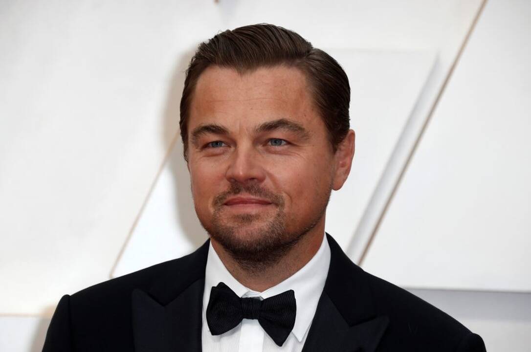 2010 metais Leonardo DiCaprio (Leonardas DiKaprijas) pripažintas daugiausiai pajamų filmų kūrėjams 2010 metais uždirbusiu Holivudo aktoriumi.