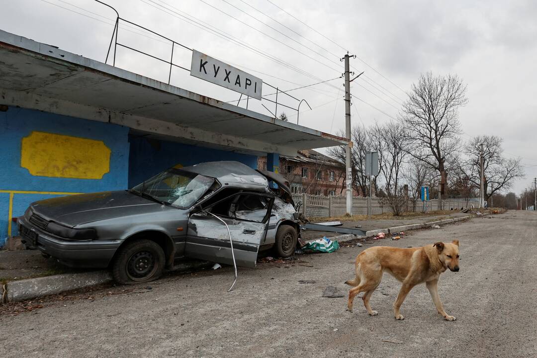 Atima žadą: Rusijos kariai gyrėsi suvalgę šunį ir išprievartavę nepilnametę