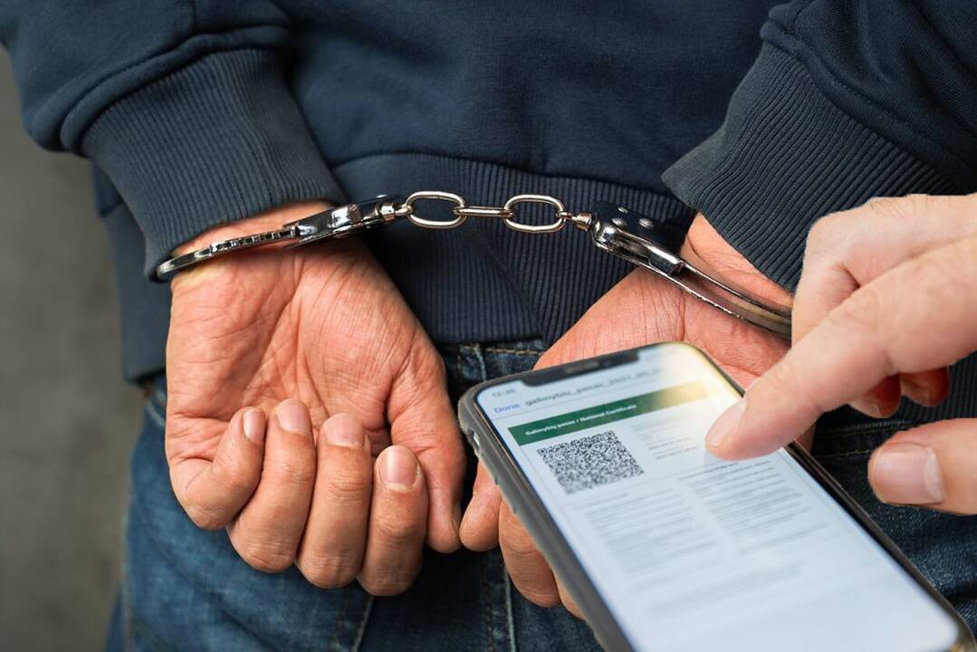 Kas gresia už galimybių paso klastojimą? (teisininko komentaras)