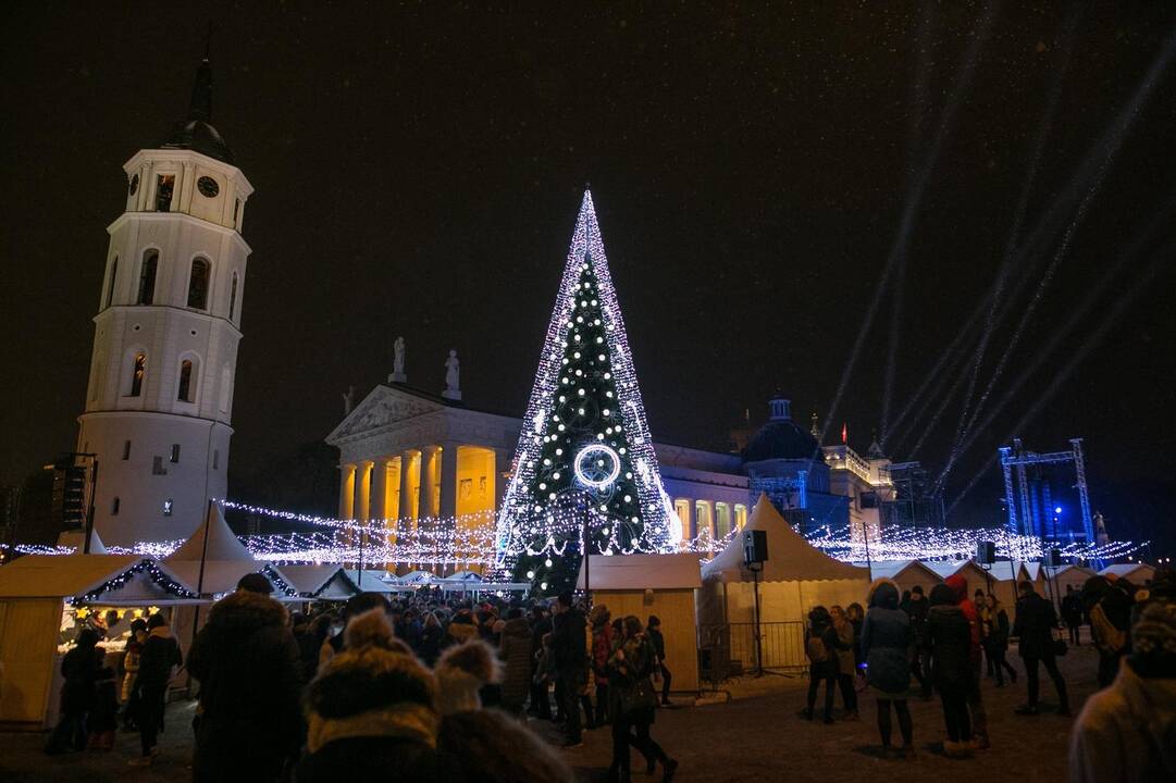 Sostinės Katedros aikštėje suspindo Kalėdų eglė