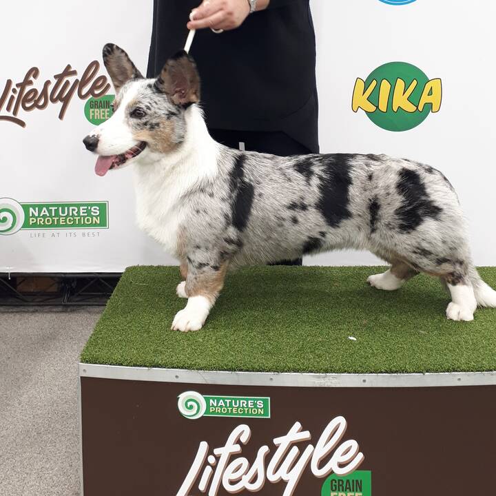 Draugai: Gražina tiki, kad į kažkieno namus Eivos mažyliai atneš laimės.