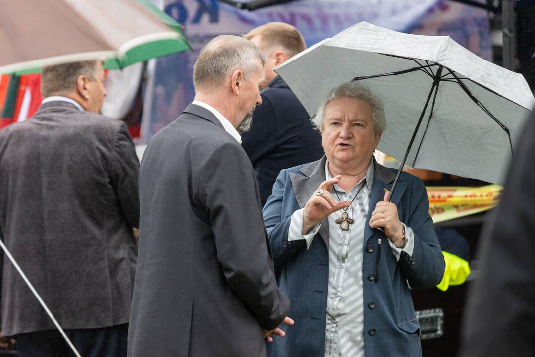 Šeimų sąjūdžio protestas prie Seimo