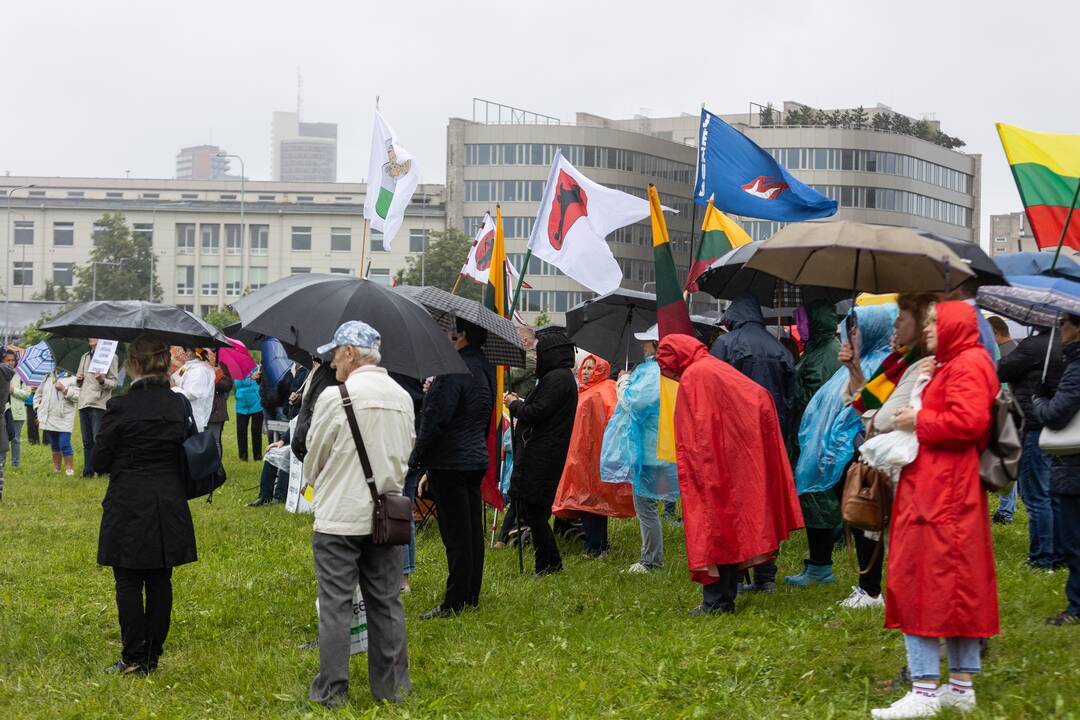 Šeimų sąjūdžio protestas prie Seimo