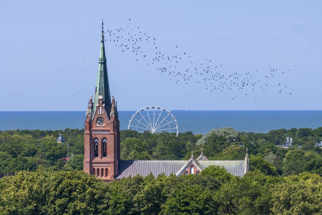 Minint Palangos 770 metų sukaktį, kurorte vyks muzikos bei vasaros festivaliai